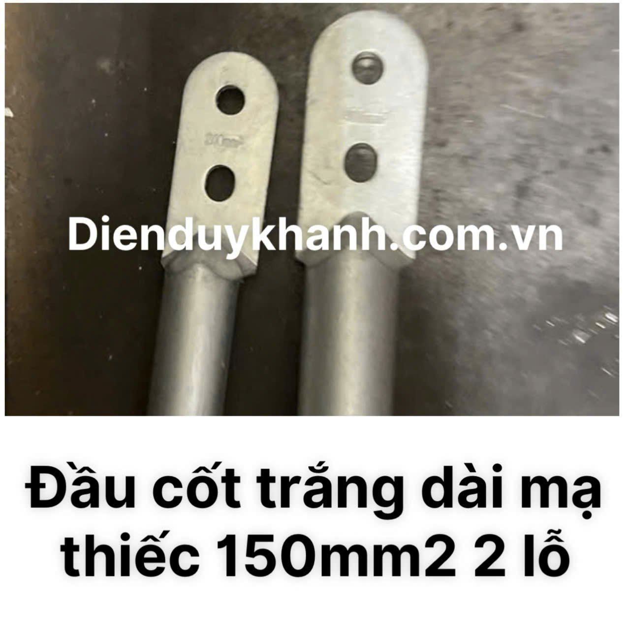Đầu Cốt Đồng Mạ Thiếc 150mm2 2 Lỗ